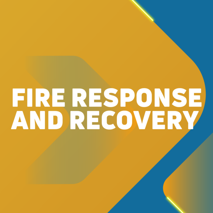 January 2025 Wildfire Response and Recovery